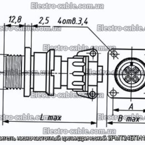 Соединитель низкочастотный цилиндрический 2РМТ24БПН19Г1В1В - фотография № 1.