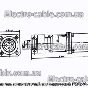 З&#39;єднувач низькочастотний циліндричний РБН2-31-34Г2-В - фотографія №1.
