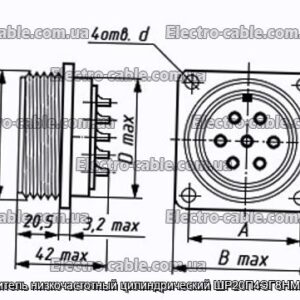 Соединитель низкочастотный цилиндрический ШР20П4ЭГ8НМ розетка - фотография № 1.