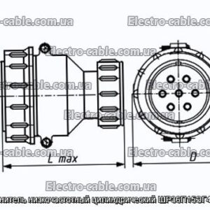 Соединитель низкочастотный цилиндрический ШР36П15ЭГ4 вилка - фотография № 1.
