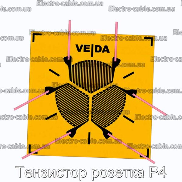 Тензистор розетка Р4 - фотография № 1.