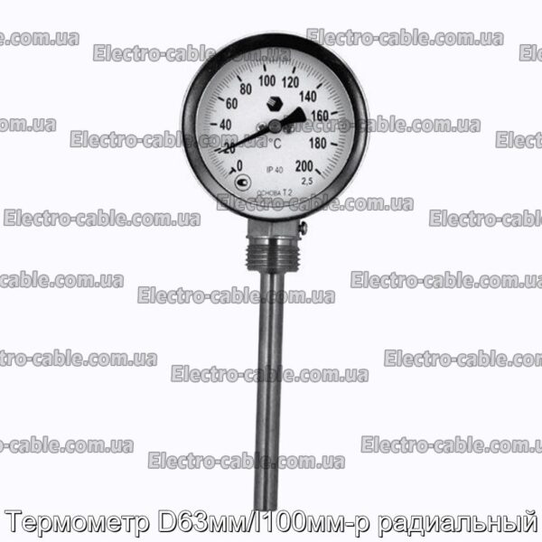 Термометр D63мм/l100мм-р радиальный - фотография № 1.