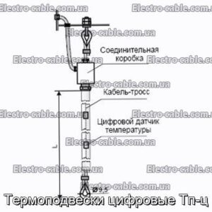 Термоподвески цифровые Тп-ц - фотография № 2.