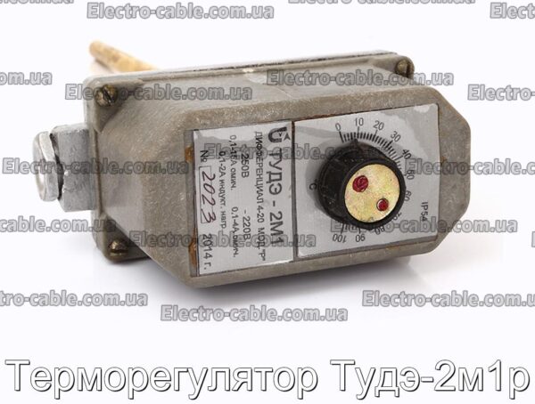 Терморегулятор Тудэ-2м1р - фотография № 3.