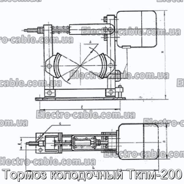 Гальмо колодкове Ткпм-200 - фотографія №2.