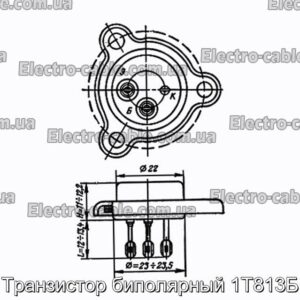 Транзистор биполярный 1Т813Б - фотография № 1.