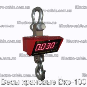 Весы крановые Вкр-100 - фотография № 1.