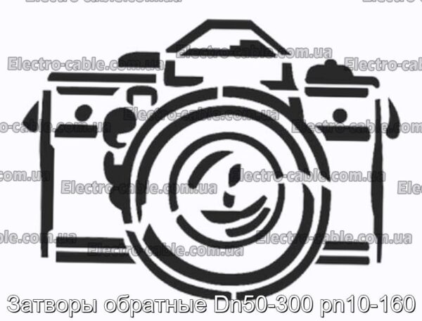 Затворы обратные Dn50-300 pn10-160 - фотография № 1.